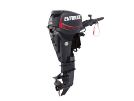 Evinrude E25DRGL E TEC Outboard Motor