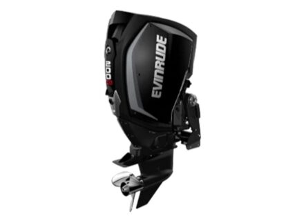 Evinrude H200HGLF 200 H.O Outboard Motor
