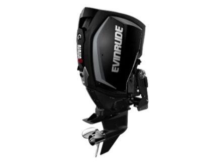 Evinrude H225HGXC 225 HO Outboard Motor