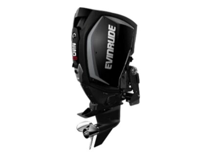 Evinrude H250HGXF 250 HO Outboard Motor