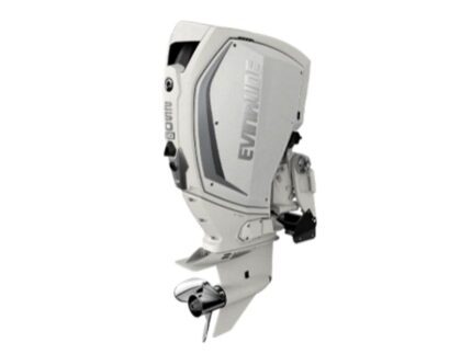 Evinrude H250HWLF 250 H.O Outboard Motor