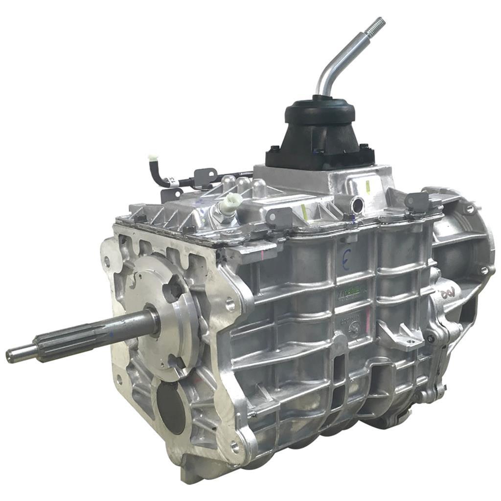ii-5.jpg