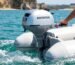 honda 2 hp outboard engine